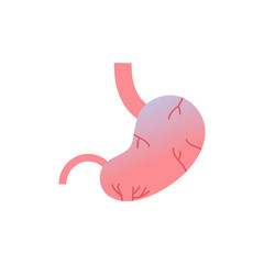 Anatomical stomach icon human body organ anatomy