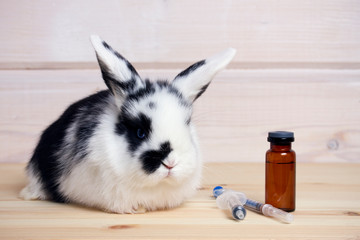 Obraz premium little rabbit on wooden background with a can of vitamins and a vaccine. Vitamin problem, vaccination, treatment