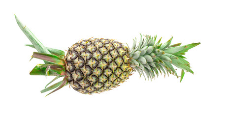 Pineapple on white background