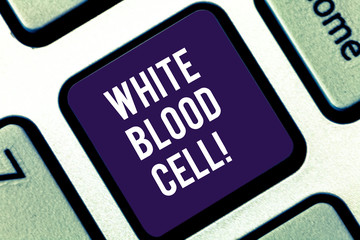 Handwriting text writing White Blood Cell. Conceptual photo Leucocytes in charge of protect body from infections Keyboard key Intention to create computer message pressing keypad idea