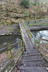 Wooden bridge forming part of a public trail through a woodland forrest crossing a stream