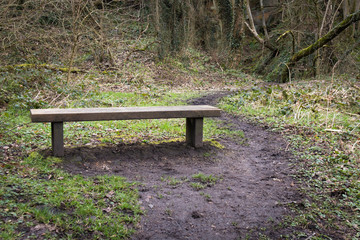 Public seating park bench made form wood in a woodland setting with mud trail path going past
