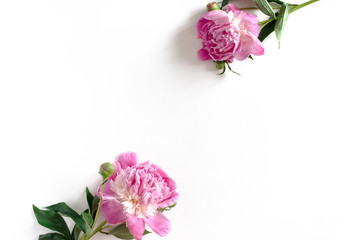 Border frame made of pink peonies