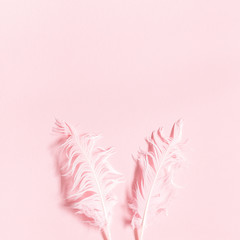 Easter composition. Rabbit ears made of feathers on pastel pink background. Flat lay, top view, copy space, square