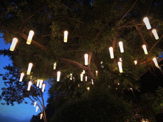 beautiful garden decoration with hanging glow lamps under big tree, background of Asian traditional style with outdoor lighting element at night, romantic environment with electronic hanging lamps