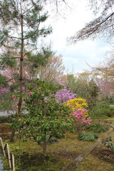 In the garden of the Tenryu-ji temple (Kyoto - Japan)