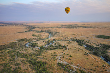 Balloons flying in savannah