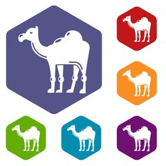 Camel icons vector colorful hexahedron set collection isolated on white