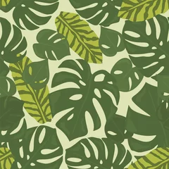 Photo sur Plexiglas Vert La forêt tropicale de Monstera laisse le fond. Modèle sans couture vert
