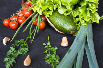 Fresh vegetables: cabbage, avocado, tomato, rosemary, garlic, mushrooms, leeks