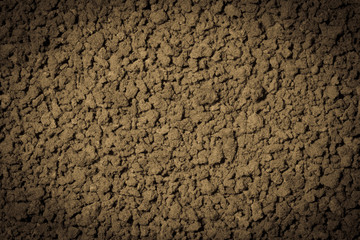 Abstract shabby stony surface.