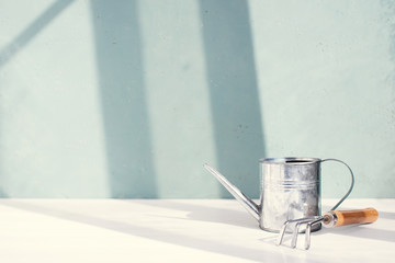 Small metal watering can and rake on the white table © alinakho