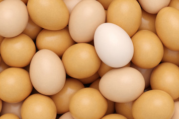 background of fresh eggs
