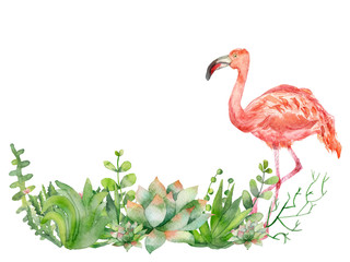 Watercolor hand painted illustration wild pink flamingo walking through the green succulents isolated on the white background, nice, sweet picture