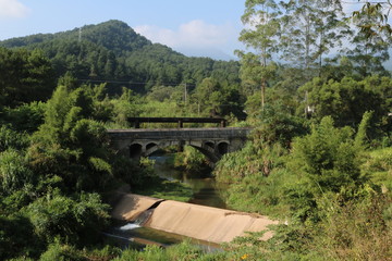 Fototapeta premium bridge