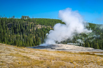 The Mammoth Hot Springs Area in Yellowstone National Park, Wyoming