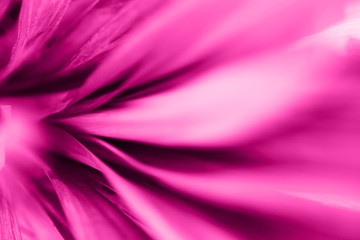 Macro photo of pink agave leaves. Green tropical pattern