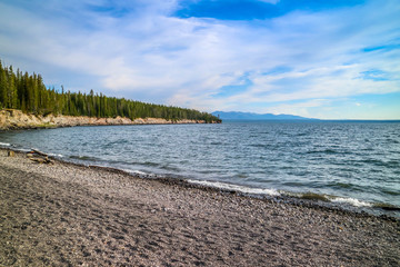 A small clear lake in the forest of Yellowstone National Park, Wyoming