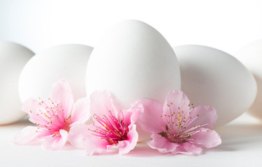 Fototapeta na wymiar white eggs with peach flowers on white background