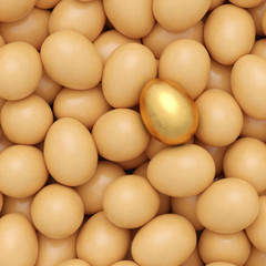 background of eggs