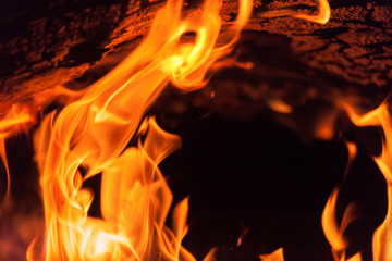 Burning bonfire close up