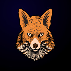 fox head illustration hand drawn