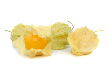 Physalis isolated on a white background. cape gooseberry.