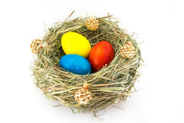 colored easter eggs in grass nest with bumps