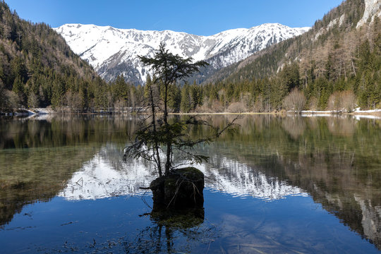 mountain lake named duerrsee near seewiesen / hochschwab  in styria,austria