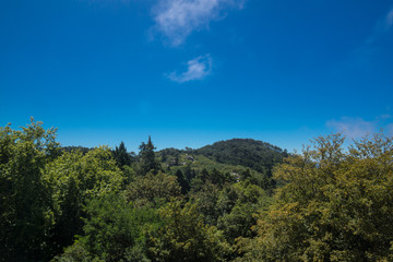 park of national palace da pena
