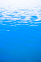海