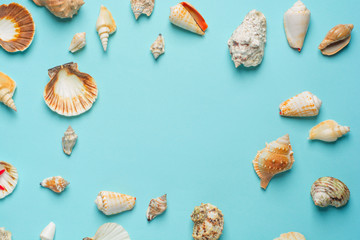 Composition of exotic sea shells on a blue background. Summer concept. Flat Lay. Top View