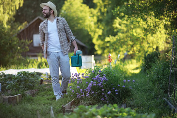 Man farmer watering a vegetable garden