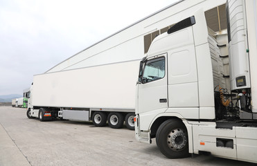camión frigorífico blanco  transporte alimentación pescado marisco 4M0A9864-as19