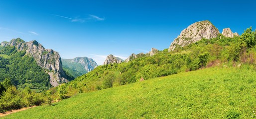 beautiful panorama of romania countryside. wonderful sunny day in mountains. grassy meadow on the hillside and canyon with hanging cliffs in the distance
