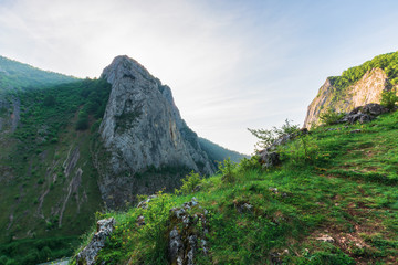 morning in the Valisoara gorge, romania. wonderful forenoon in the canyon. grassy slopes, rocks and cliff around.