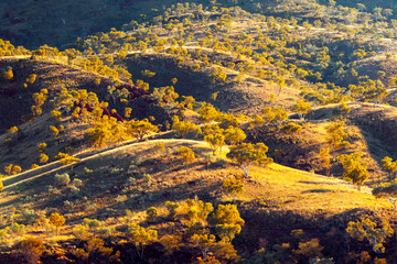 Landscape of rolling hills and gum trees in the Australian outback. Pilbara region, near Karijini National Park, Western Australia, Australia.