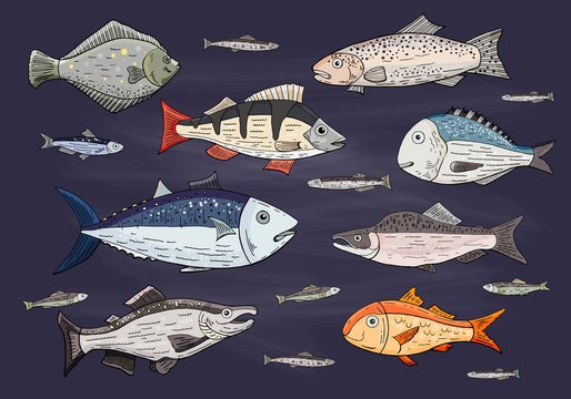 Основные RGB