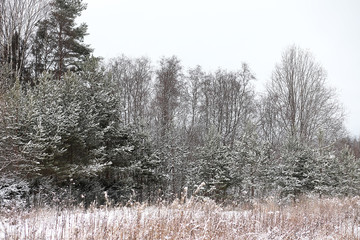 Winter landscape of country fields and roads