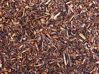 Bark Mulch Texture