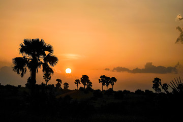 Landscape in Murchison falls