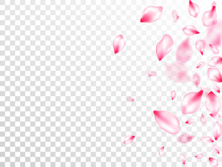 Obraz na płótnie Canvas Spring tree flowers parts, airy flying petals