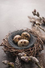 Quail easter eggs in nest and spring willow on vintage table.