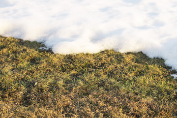spring grass, lawn after winter, snow drift melts