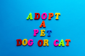 text adopt a pet dog or cat  from plastic colored letters on blue paper background