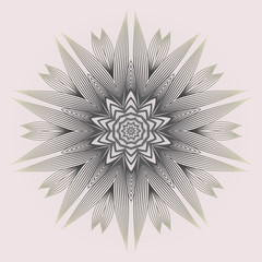 Modern Decorative Cicle Shapes. Floral Mandala. Vector Illustration. White grey color.