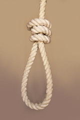 Rope for gallows with hangman noose and hanging knot isolated on a white background
