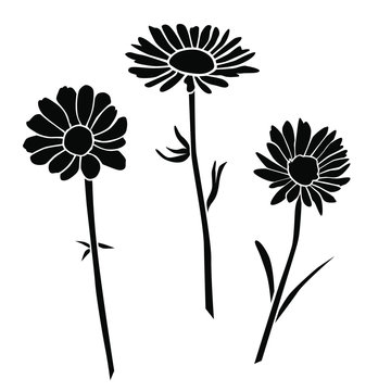 Daisy Silhouette Images – Browse 41,350 Stock Photos, Vectors, and Video |  Adobe Stock