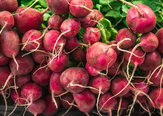 Radish Roots Fresh vegetable Farm product agriculture