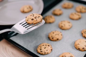 Freshly baked cookies on spatula, close-up